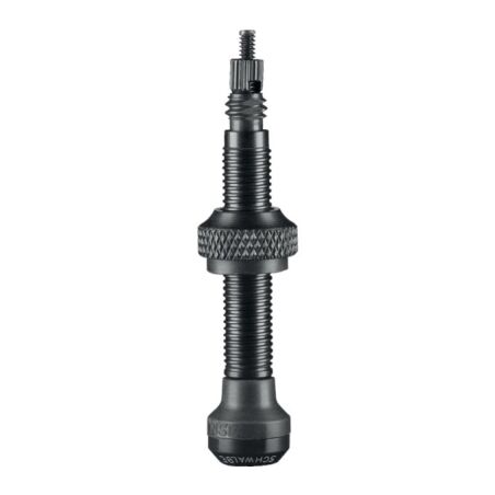 Schwalbe Tubeless Ventil (2er-Set)