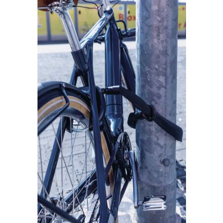 Abus IvyTex Adaptor Chain ACH IVY 6KS/100 + ST5950...