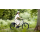 Specialized Tailwind Gepäckträgertasche left hyprviz 17 L