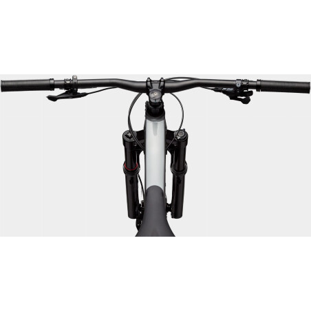 Cannondale Habit 3 MTB-Fully 29&quot; grey