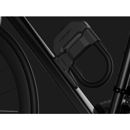 Hiplok DXF Bügelschloss D mit Rahmenhalterung all black