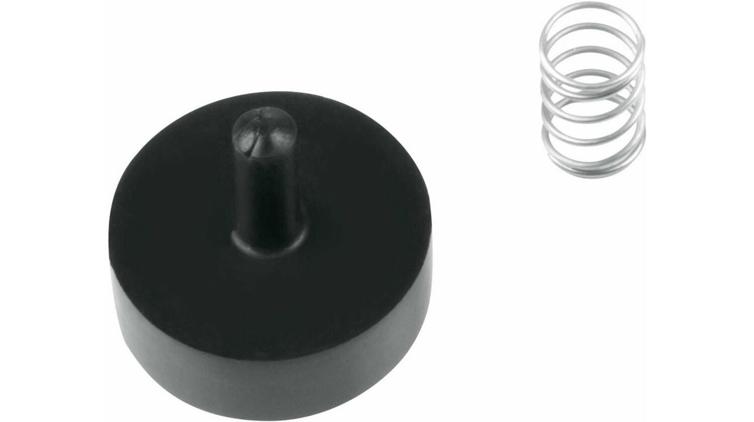 SKS GERMANY Rückschlagsystem Standpumpen