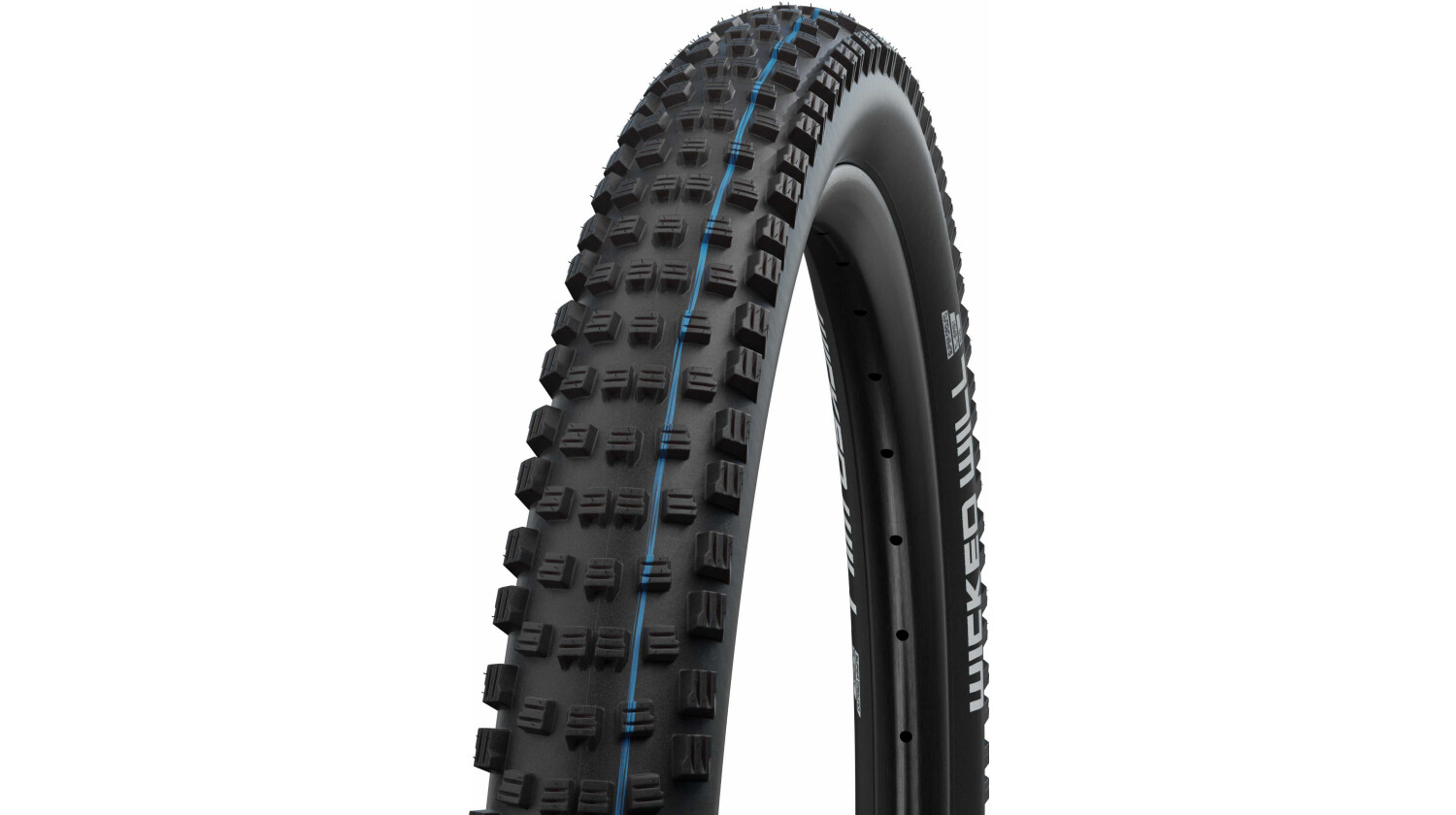 Schwalbe Wicked Will Super Ground, Evolution Line, TLE, SnakeSkin Faltreifen 29" Addix SpeedGrip schwarz