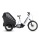 Cube Trike Hybrid Family 750 Wh E-Lastenrad 24"/20" flashwhite´n´black one size