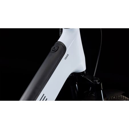 Cube Trike Family Hybrid 750 Wh E-Lastenrad...