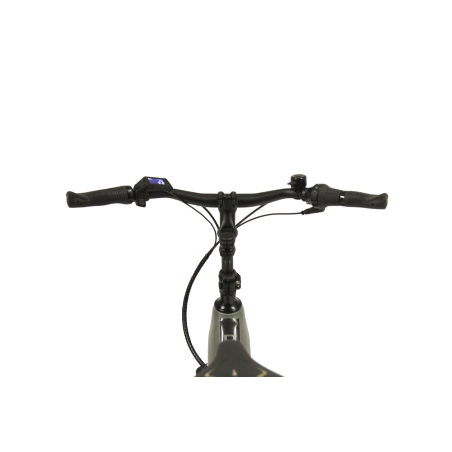 Atlanta Rückenwind IN 6.0 750 Wh E-Bike Wave...