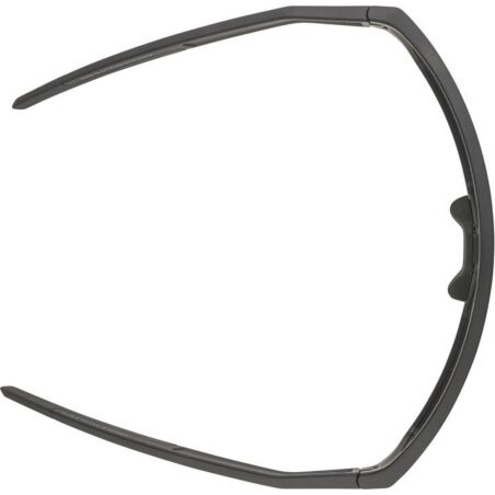 Alpina Ram Q-Lite Sportbrille black matt/mirror green one size