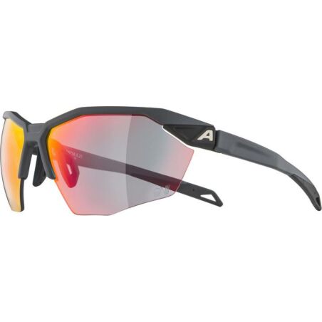 Alpina Twist Six HR QV Sportbrille grey matt/quattro/variofl.mirror+ rainb. one size