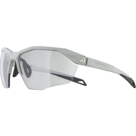 Alpina Twist Six HR V Sportbrille smoke-grey matt/varioflex+ black one size