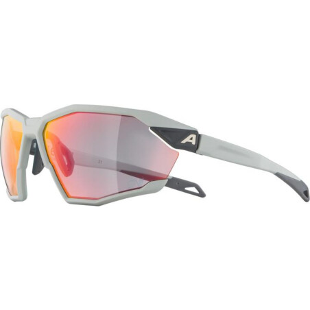 Alpina Twist Six QV Sportbrille smoke/quattro/variofl.mirror+ rainb. one size