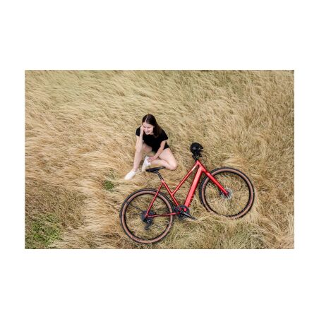 Coboc Merano TPZ 360 Wh E-Bike Trapez 27,5" riesling silver, gloss
