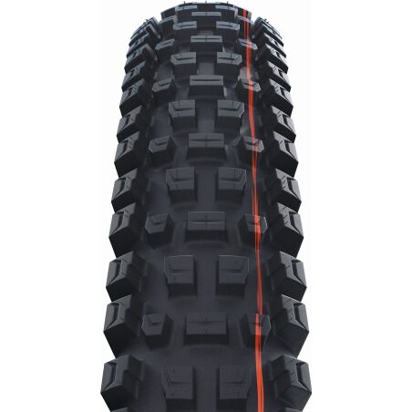 Schwalbe Albert Trail Pro Radial B, Evolution Line, TLR E-MTB Faltreifen 29&quot; Addix schwarz-skin 63-622