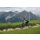 Cube Stereo One44 HPC Rookie Jugendrad MTB-Fully 27,5" dustyolive´n´gold
