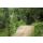 Cube Stereo One44 HPC Rookie Jugendrad MTB-Fully 27,5" dustyolive´n´gold