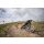 Cube Stereo One44 HPC Rookie Jugendrad MTB-Fully 27,5" dustyolive´n´gold