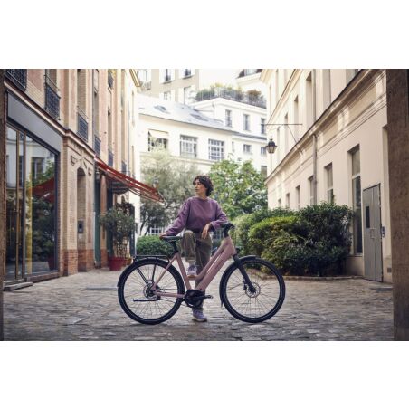Riese &amp; M&uuml;ller Culture Mixte silent, 400 Wh E-Bike Trapez 28&quot; Gep&auml;cktr&auml;ger, RX, Purion 200, blossom TB 50 cm