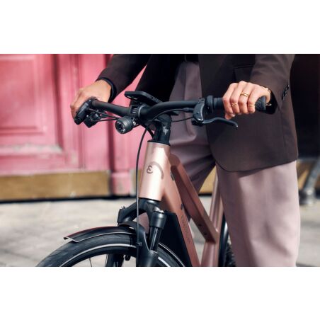 Riese &amp; M&uuml;ller UBN Seven vario 430 Wh E-Bike Trapez 28&quot; LED Hub, Gep&auml;cktr&auml;ger UBN, Rahmenschloss, Suspension Kit rose TB 45 cm