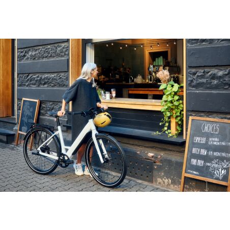 Riese & Müller UBN Six silent, 430 Wh E-Bike...