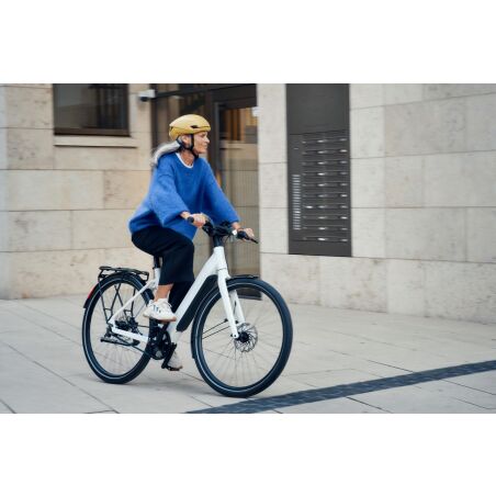 Riese &amp; M&uuml;ller UBN Six silent, 430 Wh E-Bike Wave 28&quot; Packtaschenhalter, Comfort Kit, Control Hub, pure white TB 51 cm