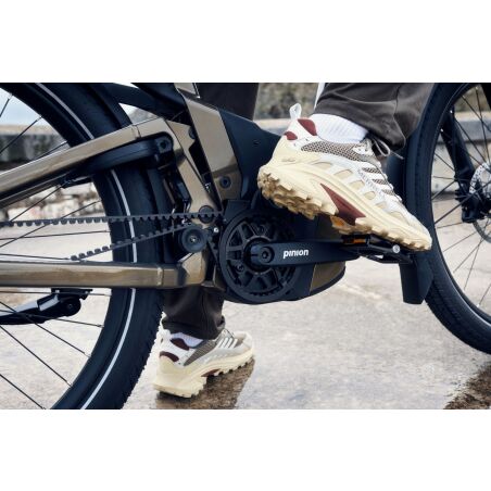Riese &amp; M&uuml;ller Delite5 GT pinion T 800 Wh E-Bike 27,5&quot; amber 51 cm TB