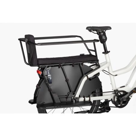 Riese & Müller Multicharger2 Mixte GT family T...