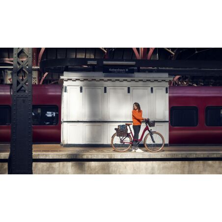 Riese &amp; M&uuml;ller Swing4 automatic T 500 Wh E-Bike 28&quot; salvia matt 51 cm TB