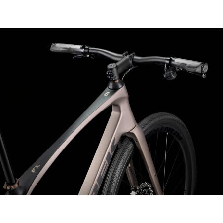 Trek FX Sport 6 Carbon Fitnessbike Diamant 28&quot; matte bronze age/deep smoke