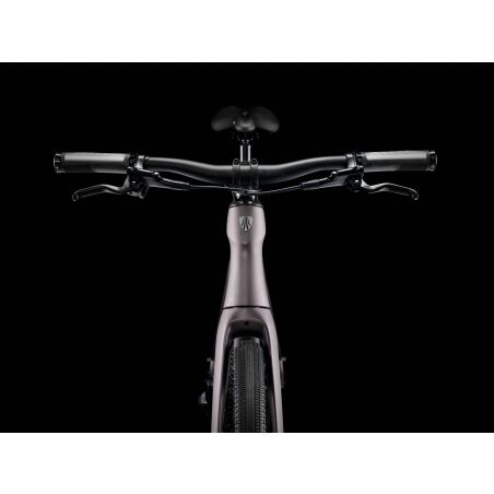 Trek FX Sport 6 Carbon Fitnessbike Diamant 28&quot; matte bronze age/deep smoke