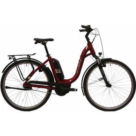 Atlanta Rückenwind 1.0 RT 400 Wh E-Bike Wave...