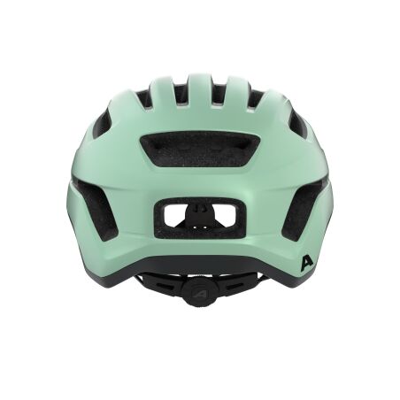 Alpina Paranus Helm pastel green matt