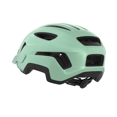 Alpina Paranus Helm pastel green matt
