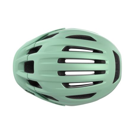 Alpina Paranus Helm pastel green matt