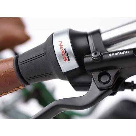 Electra Townie Commute Go! 5i EQ Step-Thru 500 Wh Retro E-Bike Wave 28&quot; racing green M