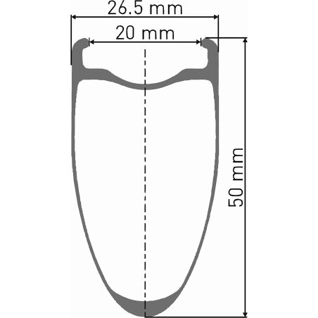 DT Swiss ARC 1100 Dicut, Hinterrad 28", Carbon,...