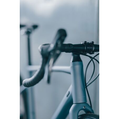 Cube Nuroad Pro Gravelbike Diamant whale&acute;n&acute;reflex