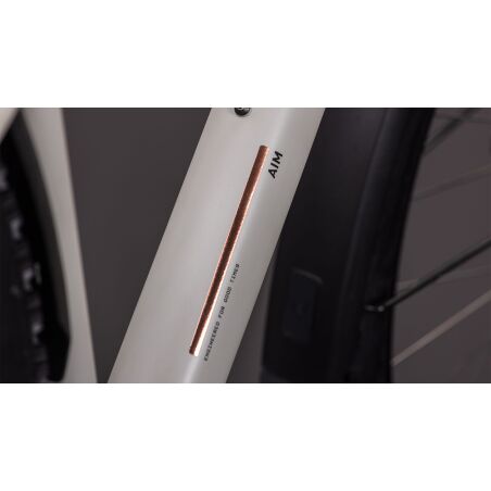 Cube Aim Pro FE MTB-Hardtail Diamant greige&acute;n&acute;titan