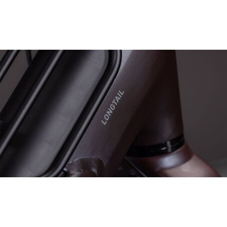 Cube Longtail Hybrid Family 800 Wh E-Lastenrad 26" haze&acute;n&acute;reflex one size