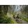 Cube Kathmandu Hybrid One11 HPC Pro 800 Wh E-Bike Easy Entry 28" slapgrey´n´black