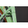 Cube Aruba Cityrad Easy Entry 28" cactus´n´brown