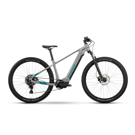 Raymon Hardray 500 Wh E-Bike Hardtail Diamant...