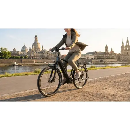 Diamant Mandara Gen 3 545 Wh E-Bike Herren 27,5"...