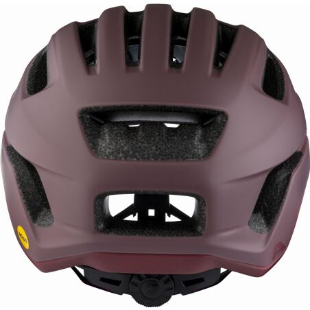 Alpina Paranus Mips Helm raisin matt