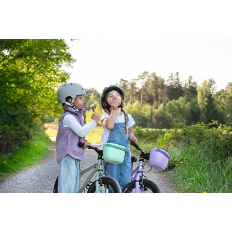 KLICKfix Lori Basket Lenkerkorb eucalyptus 2.5 L