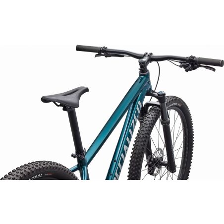Specialized Rockhopper Expert MTB-Hardtail Diamant Gloss Emerald Metallic/Shadow Silver