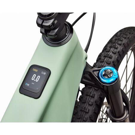 Specialized Turbo Levo R Expert NB 840 Wh E-Bike Fully 29" Satin Pistachio/Dark Moss Green