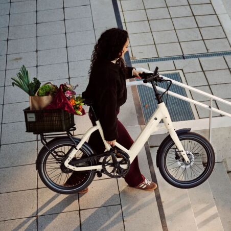 Tenways CGO Compact 500 Wh E-Kompaktrad 20" Sand HG 45 cm