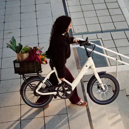 Tenways CGO Compact 500 Wh E-Kompaktrad 20" Sand HG 45 cm