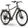 Raymon Zayn Auto Trekkingrad Diamant 28" mushroom