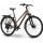 Raymon Zayn Auto Trekkingrad Trapez 28" mushroom