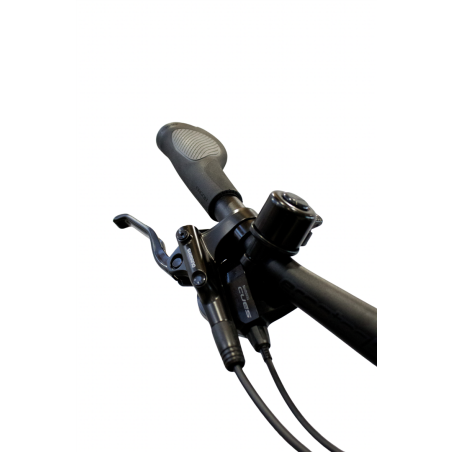 KTM Macina Pali+ 800 Wh E-Bike Diamant 29" royal teal matt